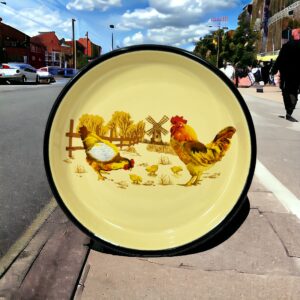 لعابی بشقاب قطر 22 خروس